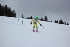 20190209_141034_7277