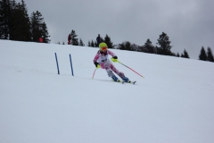 20190209_141232_7285
