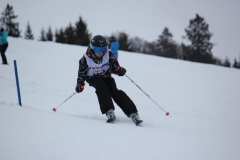 20190209_141532_7297