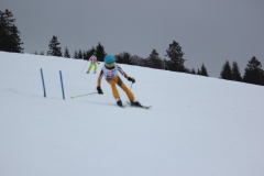 20190209_142122_7322
