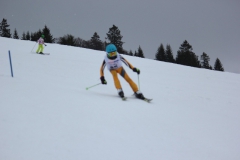 20190209_142130_7323