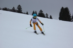 20190209_142138_7324
