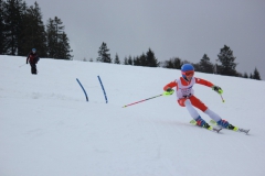 20190209_142420_7337