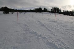 20190210_102438_3533