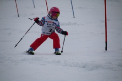 20190210_104946_3541