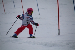 20190210_104946_3542