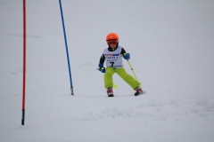 20190210_105236_3566