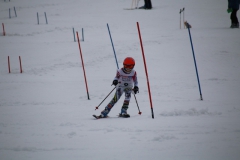 20190210_105300_3570