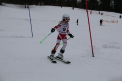 20190210_105334_3577