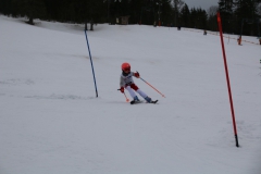 20190210_105404_3582