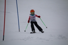 20190210_105516_3586
