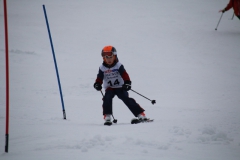 20190210_105630_3595