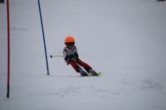 20190210_105654_3601