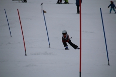 20190210_110006_3623