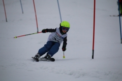 20190210_110038_3627