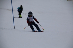 20190210_110112_3634