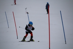20190210_110148_3636