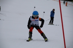 20190210_110154_3639