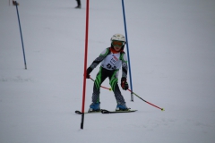 20190210_110214_3642