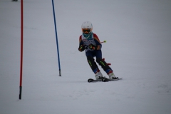 20190210_110338_3651