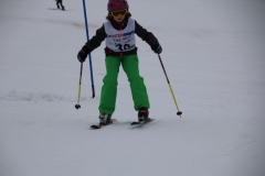 20190210_110550_3679