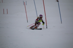 20190210_110804_3687