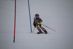 20190210_110804_3688