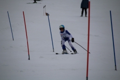 20190210_110902_3694