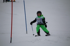20190210_111420_3702