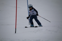 20190210_111452_3706