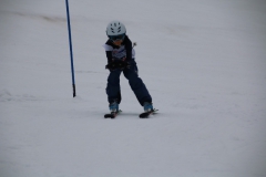 20190210_111454_3709