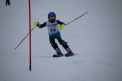 20190210_113808_3809