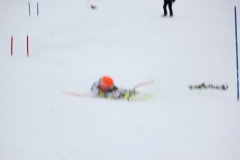 20190210_134914_7706