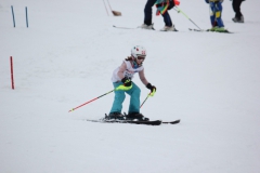 20190210_135222_7723