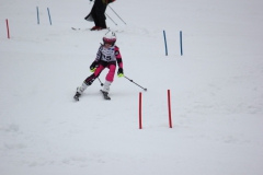 20190210_135338_7729