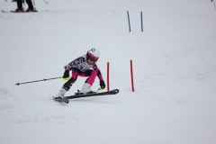 20190210_135342_7730