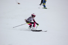 20190210_135344_7731