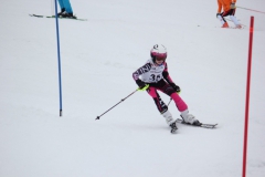 20190210_135346_7732