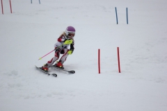 20190210_135410_7734