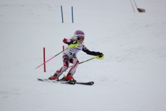 20190210_135412_7735