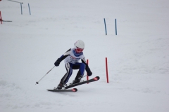 20190210_135444_7739