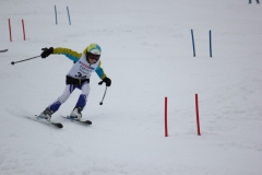 20190210_135516_7742