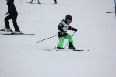20190210_135600_7748
