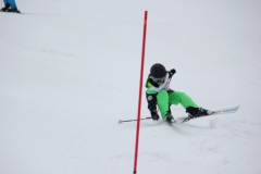 20190210_135602_7749
