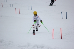 20190210_135940_7769