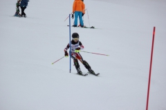 20190210_140328_7788