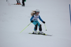 20190210_141104_7824