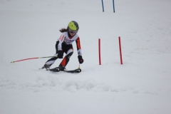 20190210_141646_7861